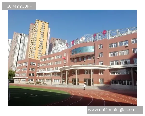 田宇翔的奋斗故事与梦想追寻:从平凡到卓越的成长之路